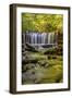 Pennsylvania, Benton, Ricketts Glen State Park. Oneida Falls Cascade-Jay O'brien-Framed Photographic Print