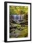 Pennsylvania, Benton, Ricketts Glen State Park. Oneida Falls Cascade-Jay O'brien-Framed Photographic Print