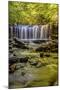 Pennsylvania, Benton, Ricketts Glen State Park. Oneida Falls Cascade-Jay O'brien-Mounted Photographic Print