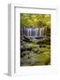 Pennsylvania, Benton, Ricketts Glen State Park. Oneida Falls Cascade-Jay O'brien-Framed Photographic Print