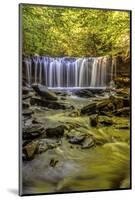 Pennsylvania, Benton, Ricketts Glen State Park. Oneida Falls Cascade-Jay O'brien-Mounted Photographic Print