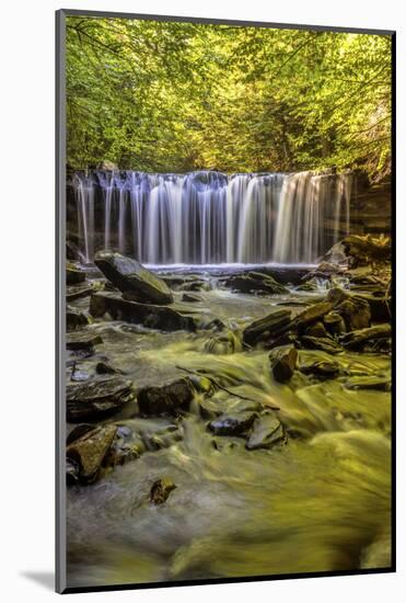 Pennsylvania, Benton, Ricketts Glen State Park. Oneida Falls Cascade-Jay O'brien-Mounted Photographic Print