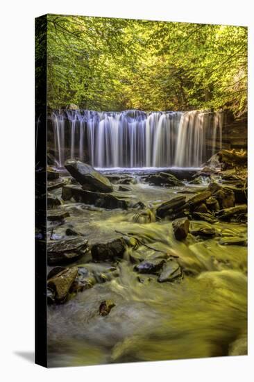 Pennsylvania, Benton, Ricketts Glen State Park. Oneida Falls Cascade-Jay O'brien-Stretched Canvas
