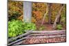 Pennsylvania, Benton. Split Rail Fence in Ricketts Glen State Park-Jay O'brien-Mounted Photographic Print