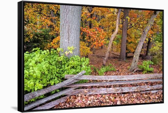 Pennsylvania, Benton. Split Rail Fence in Ricketts Glen State Park-Jay O'brien-Framed Stretched Canvas