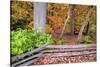 Pennsylvania, Benton. Split Rail Fence in Ricketts Glen State Park-Jay O'brien-Stretched Canvas