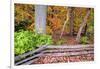 Pennsylvania, Benton. Split Rail Fence in Ricketts Glen State Park-Jay O'brien-Framed Photographic Print