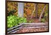 Pennsylvania, Benton. Split Rail Fence in Ricketts Glen State Park-Jay O'brien-Framed Photographic Print