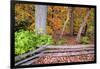 Pennsylvania, Benton. Split Rail Fence in Ricketts Glen State Park-Jay O'brien-Framed Photographic Print