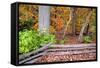 Pennsylvania, Benton. Split Rail Fence in Ricketts Glen State Park-Jay O'brien-Framed Stretched Canvas