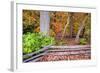 Pennsylvania, Benton. Split Rail Fence in Ricketts Glen State Park-Jay O'brien-Framed Photographic Print