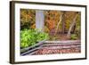 Pennsylvania, Benton. Split Rail Fence in Ricketts Glen State Park-Jay O'brien-Framed Photographic Print