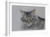 Pennsylvania Cat, 2009-Anthony Butera-Framed Giclee Print