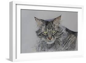 Pennsylvania Cat, 2009-Anthony Butera-Framed Giclee Print