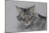 Pennsylvania Cat, 2009-Anthony Butera-Mounted Giclee Print