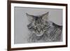 Pennsylvania Cat, 2009-Anthony Butera-Framed Giclee Print