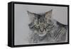 Pennsylvania Cat, 2009-Anthony Butera-Framed Stretched Canvas