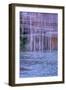 Pennsylvania, Delaware Water Gap NRA. Tree Reflection on Icy Lake-Jay O'brien-Framed Photographic Print