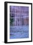 Pennsylvania, Delaware Water Gap NRA. Tree Reflection on Icy Lake-Jay O'brien-Framed Photographic Print