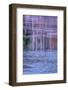 Pennsylvania, Delaware Water Gap NRA. Tree Reflection on Icy Lake-Jay O'brien-Framed Photographic Print