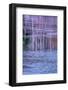 Pennsylvania, Delaware Water Gap NRA. Tree Reflection on Icy Lake-Jay O'brien-Framed Photographic Print