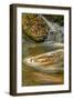 Pennsylvania, Delaware Water Gap NRA. Waterfall and Swirling Pool-Jay O'brien-Framed Photographic Print