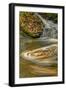 Pennsylvania, Delaware Water Gap NRA. Waterfall and Swirling Pool-Jay O'brien-Framed Photographic Print