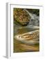 Pennsylvania, Delaware Water Gap NRA. Waterfall and Swirling Pool-Jay O'brien-Framed Photographic Print