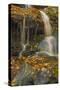 Pennsylvania, Delaware Water Gap NRA. Waterfall over Rocks-Jay O'brien-Stretched Canvas