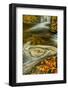 Pennsylvania, Delaware Watergap Nra. Waterfall and Swirling Pool-Jay O'brien-Framed Photographic Print