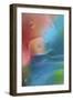 Pennsylvania, Erie. Oil Abstract-Don Paulson-Framed Photographic Print