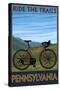 Pennsylvania - Mountain Bike Scene-Lantern Press-Stretched Canvas