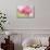 Pennsylvania. Pink Double Tulip Flower-Jaynes Gallery-Stretched Canvas displayed on a wall