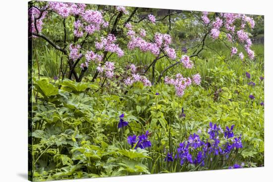 Pennsylvania, Wayne, Chanticleer Garden. Scenic of Spring Garden-Jaynes Gallery-Stretched Canvas