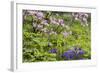 Pennsylvania, Wayne, Chanticleer Garden. Scenic of Spring Garden-Jaynes Gallery-Framed Photographic Print