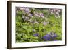 Pennsylvania, Wayne, Chanticleer Garden. Scenic of Spring Garden-Jaynes Gallery-Framed Photographic Print