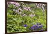 Pennsylvania, Wayne, Chanticleer Garden. Scenic of Spring Garden-Jaynes Gallery-Framed Photographic Print