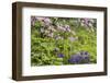 Pennsylvania, Wayne, Chanticleer Garden. Scenic of Spring Garden-Jaynes Gallery-Framed Photographic Print