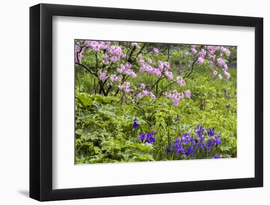 Pennsylvania, Wayne, Chanticleer Garden. Scenic of Spring Garden-Jaynes Gallery-Framed Photographic Print