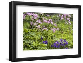 Pennsylvania, Wayne, Chanticleer Garden. Scenic of Spring Garden-Jaynes Gallery-Framed Photographic Print