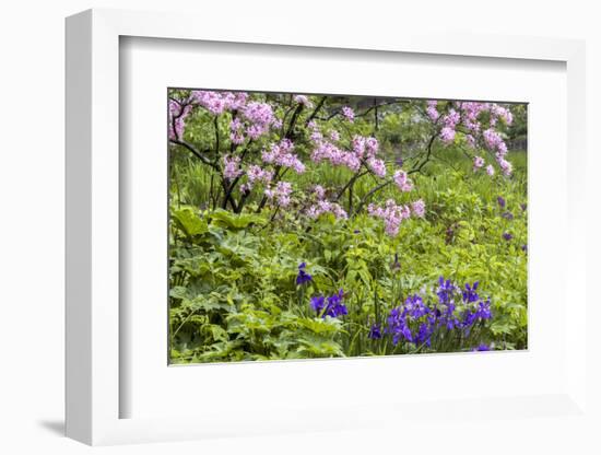 Pennsylvania, Wayne, Chanticleer Garden. Scenic of Spring Garden-Jaynes Gallery-Framed Photographic Print