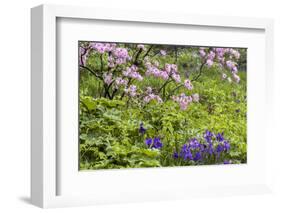 Pennsylvania, Wayne, Chanticleer Garden. Scenic of Spring Garden-Jaynes Gallery-Framed Photographic Print