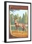 Pennsylvania White Tailed Deer-Lantern Press-Framed Art Print