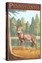 Pennsylvania White Tailed Deer-Lantern Press-Stretched Canvas