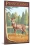 Pennsylvania White Tailed Deer-Lantern Press-Mounted Art Print