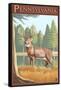 Pennsylvania White Tailed Deer-Lantern Press-Framed Stretched Canvas