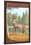 Pennsylvania White Tailed Deer-Lantern Press-Framed Art Print