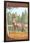 Pennsylvania White Tailed Deer-Lantern Press-Framed Art Print