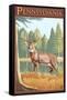 Pennsylvania White Tailed Deer-Lantern Press-Framed Stretched Canvas