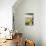 Pennsylvania Wine Country-Lantern Press-Stretched Canvas displayed on a wall